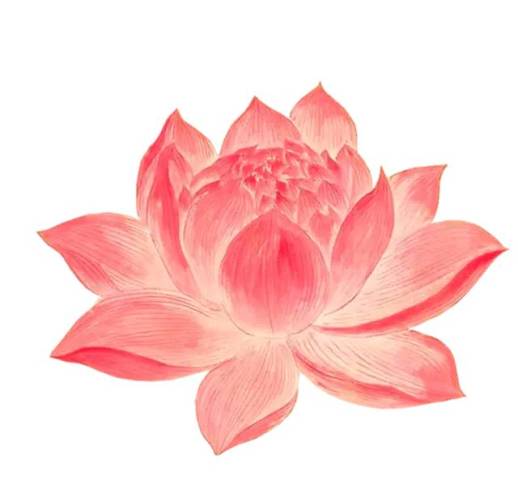 日值受死,大事勿用