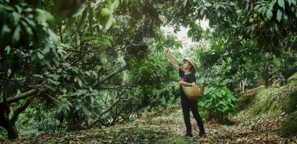 农村自媒体人月入过万,超越北上广