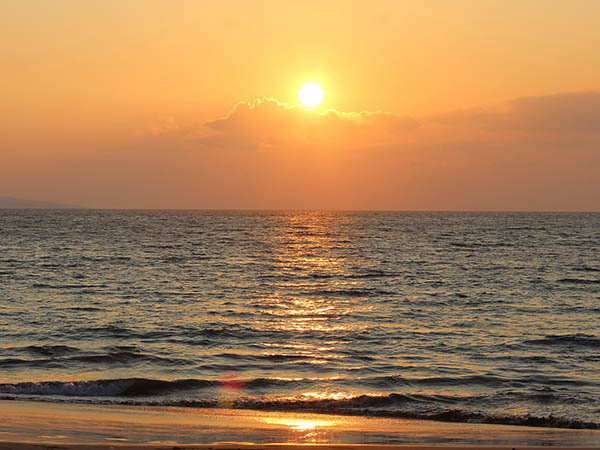 A股纳入MSCI权重翻倍 外资疯狂建仓标的浮现