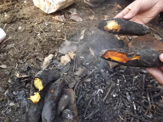 火要猛,柴要多.等火烧完,剩下一大堆灰烬,才把红薯丢进去,小心地盖好.