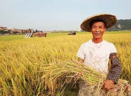 北京农村居民收入增速超城镇