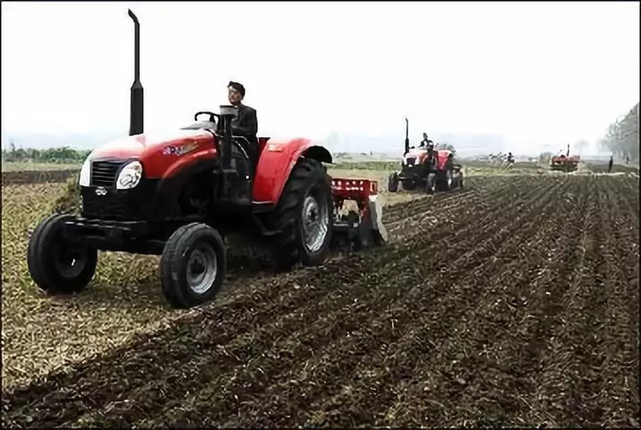 玉米|紧急提醒：今年玉米要晚收，小麦要晚种！什么情况？原因公布！