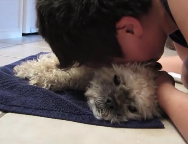 腾讯内容开放平台