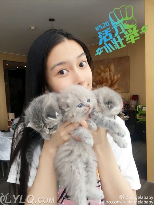 腾讯内容开放平台