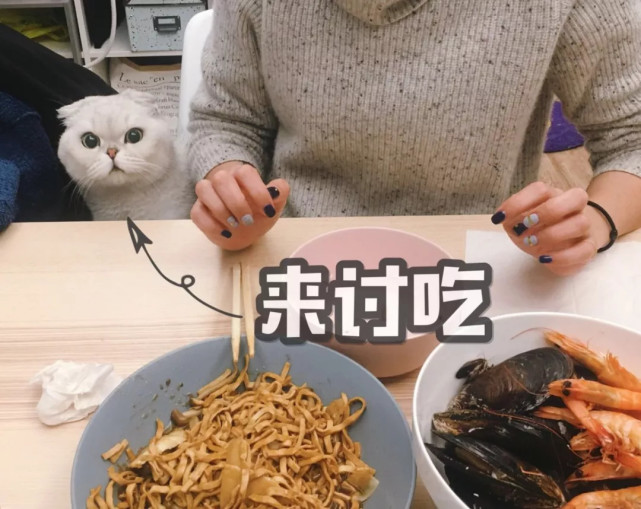 腾讯内容开放平台