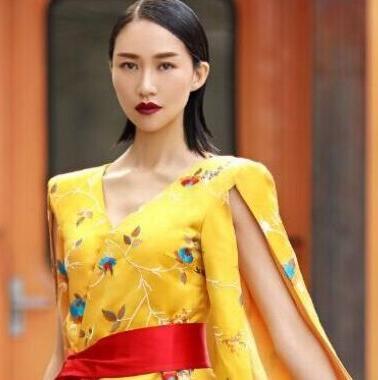 刘真执导2019猪年春晚 马德华申霏霏上春晚呼