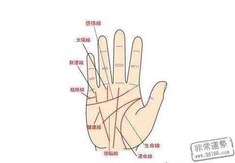手相图解 生命线看健康状态