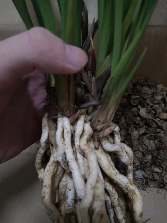 腾讯内容开放平台