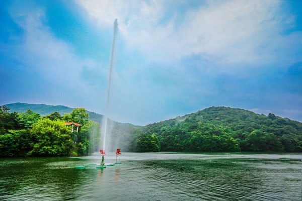 抖音涨粉秘诀是什么?选对打卡地点很关键!