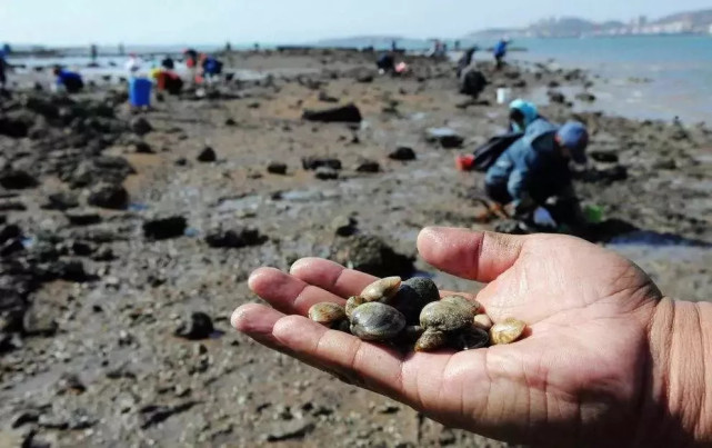 9,《逛栈桥》逛栈桥沙洲这首歌真的特别有画面感,听了一遍歌就好像去