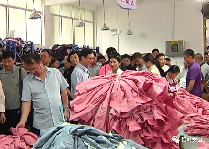 童志云:让扶贫车间成为文山振兴乡村的重要举措