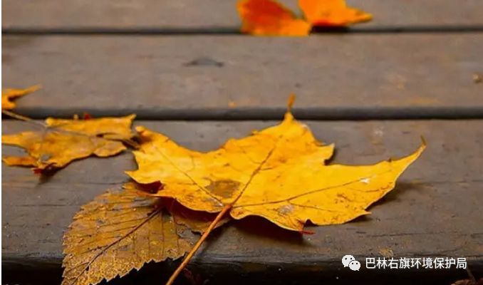 案例:《水污染防治法》关于畜禽养殖规定的释