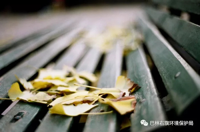 案例:《水污染防治法》关于畜禽养殖规定的释