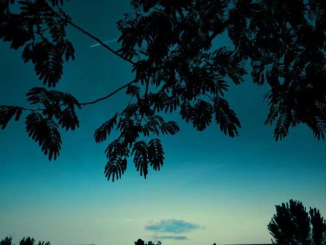 长大这两个字,孤独的连偏旁都没有