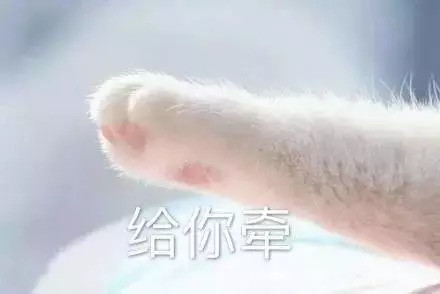 腾讯内容开放平台
