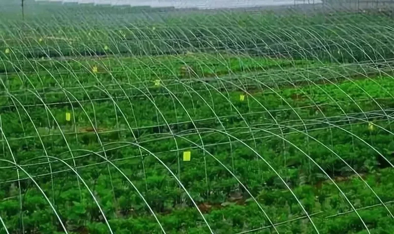 河北邯郸精准服务100家农业产业化龙头企业