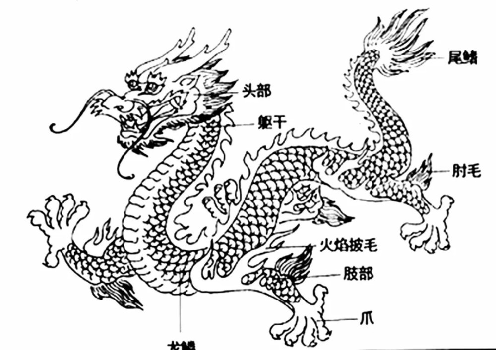 霸下|国际收藏 中国龙文化
