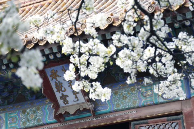 紫禁城东西六宫图鉴