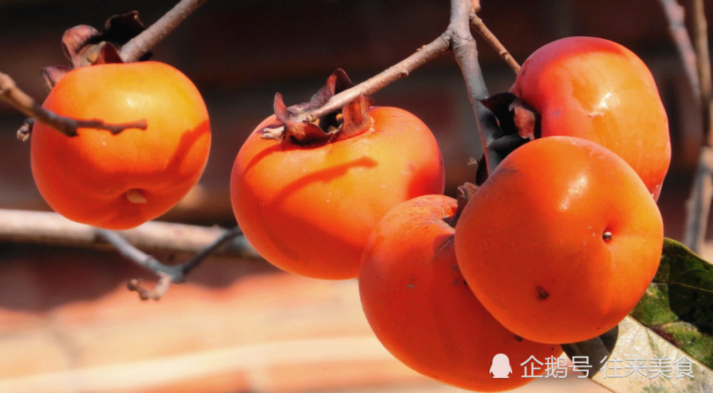 北方才有的5种特产水果,香瓜柿子上榜,最后一