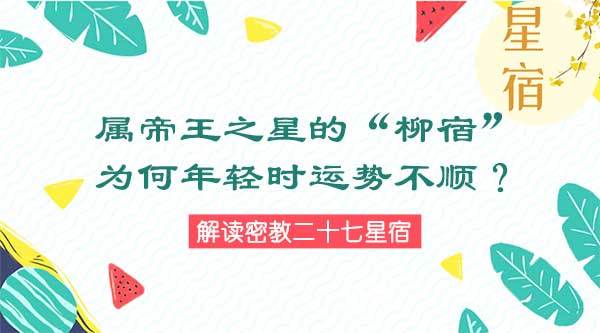 属帝王之星的 柳宿 为何年轻时运势不顺