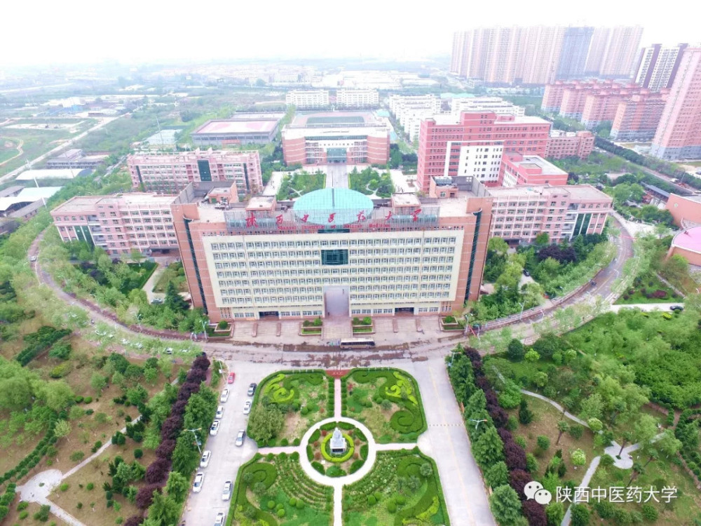 mv首发献给所有医学生太好听了叭