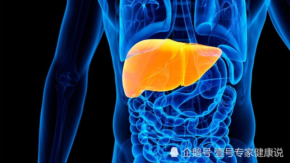 注意:肝病、白血病都有这个信号在皮肤上,如果