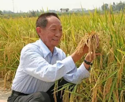 改革开放40周年人物评选,网红入选,李宇春领先