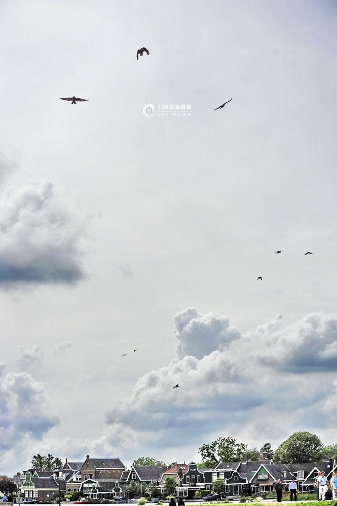 风车之国荷兰,当年建造那么多的风车有什么用