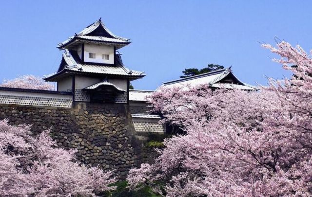 姓氏最多的姓排名_中国人口“最多”的4大姓氏:张姓没出一个皇帝,此姓