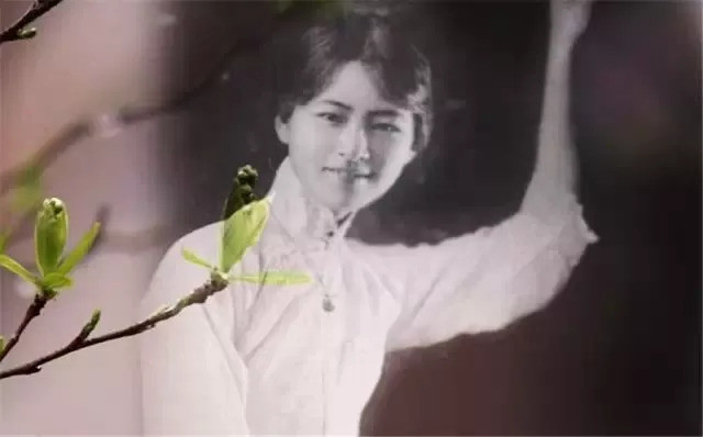 林徽因:那一晚,你和我分定了方向