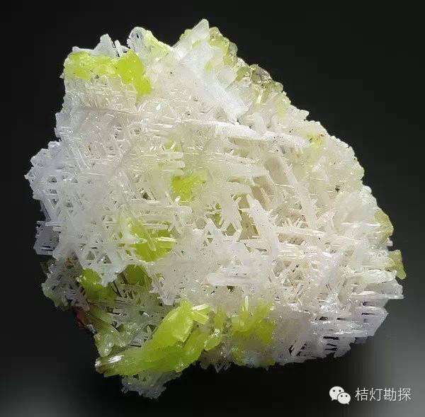 银星石|太少见了！石头开花，见者好运！