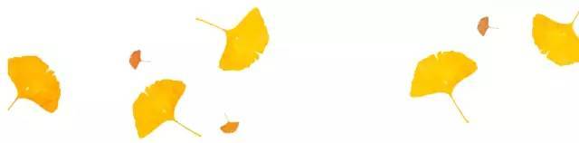 喇叭沟门乡|趁阳光正好 趁微风不燥 来一场旅行可好？