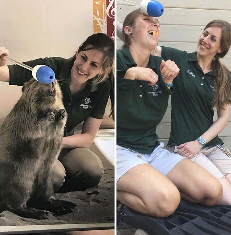 動物園員工為慶祝節日,搞了一場動物模仿秀,雖然簡陋但神韻到了