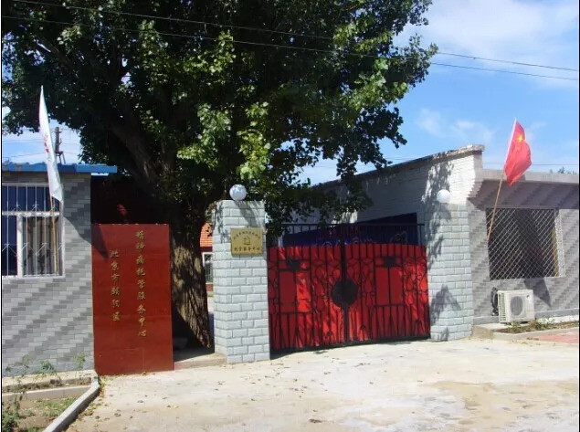 中国精神病托管中心实录:夹缝中的庇护所|故事