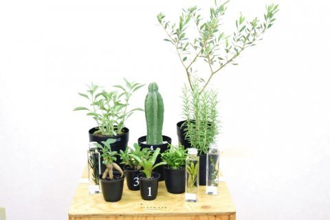 腾讯内容开放平台