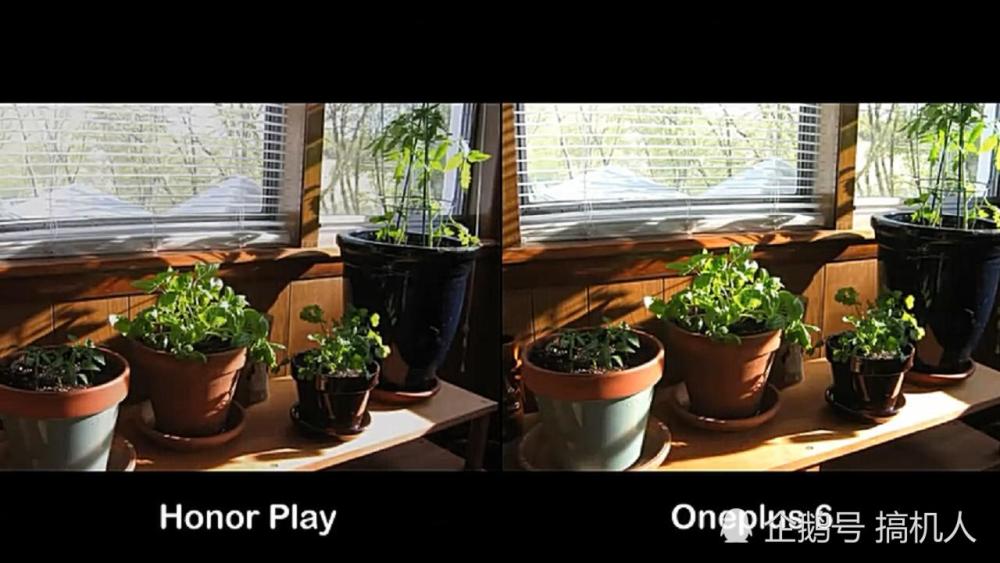 荣耀Play与一加手机6拍照对决:感觉差距好明显