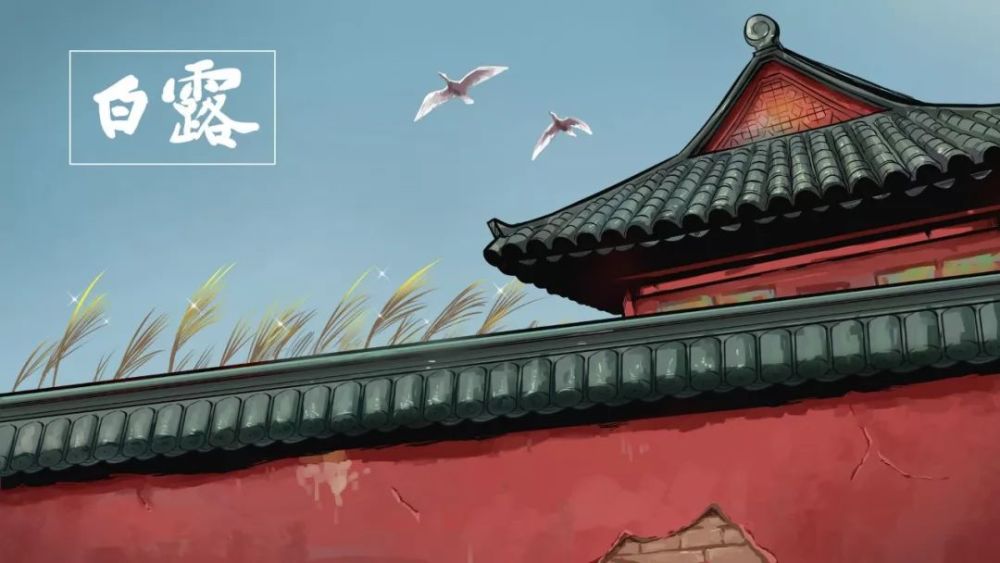 白露|看看这些：秋夜长，殊未央，月明白露澄清光