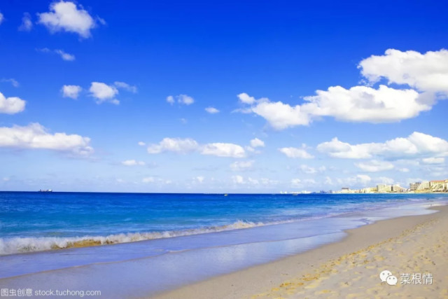 要你低调:面对打压,自我表现要适度