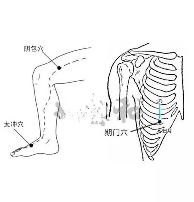 全身有48個容易瘀堵的點把這些點拍打通身體不會差你知道嗎