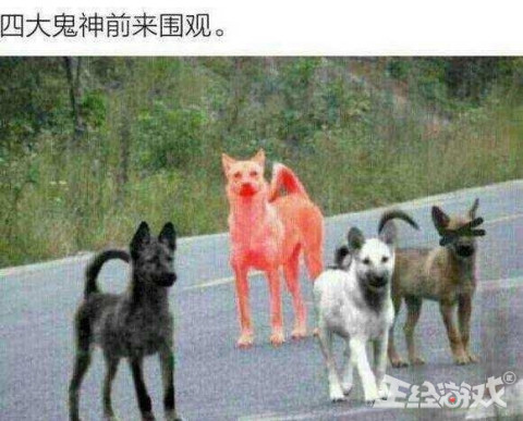 DNF最受中国玩家欢迎的职业,为何在韩国却没