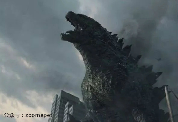 怪兽"哥斯拉"的原型——海鬣蜥,以及它最好的伙伴