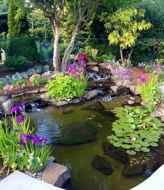 13个"花园鱼池"设计案例,想要自建鱼池的话,参考下!