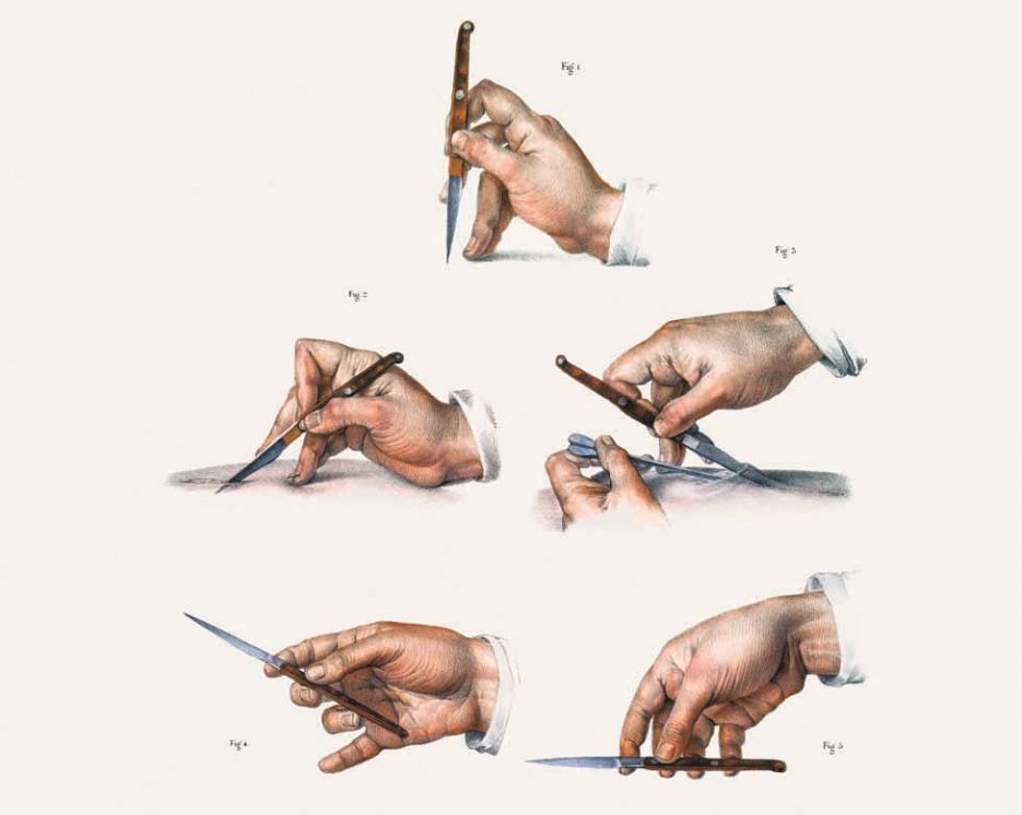 本书堪称解剖学活化石 人体解剖图谱 汉英法拉对照 出版