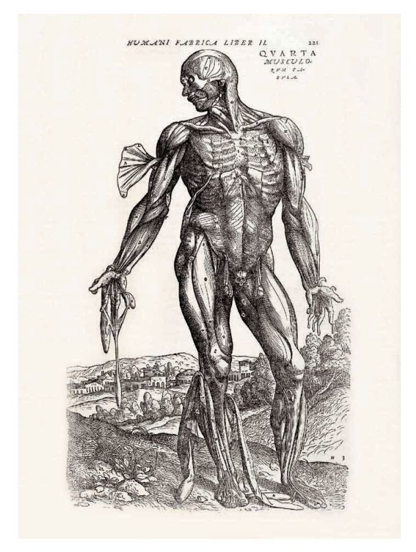 本书堪称解剖学活化石，《人体解剖图谱：汉英法拉对照》出版_腾讯新闻