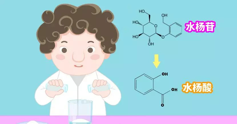 从柳树皮到传奇"神药"阿司匹林究竟是怎么诞生的?