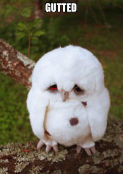 英式英语中的一些俚语、短语合集,地道英语马