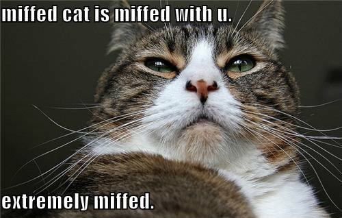 英式英语中的一些俚语、短语合集,地道英语马