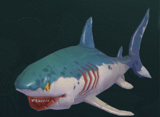 是各种鲨鱼吗? 它们不仅可以抓来当水上坐骑,还可以杀