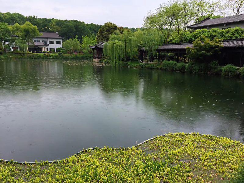 从郎君到老公:中国丈夫称谓堕落史