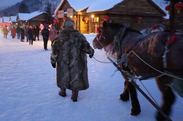 为何东北人会喜欢买貂皮大衣,难道这就是宿命